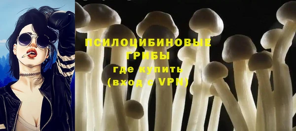 ешки Пересвет