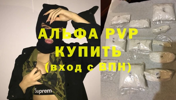 винт Лабытнанги
