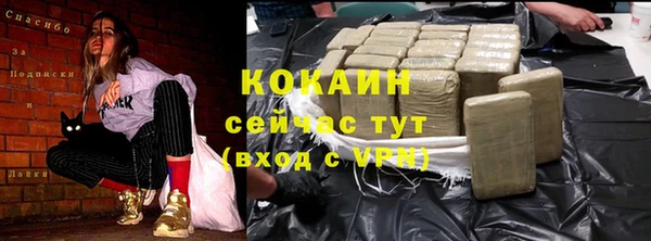 винт Лабытнанги