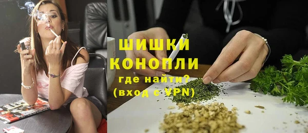 винт Лабытнанги